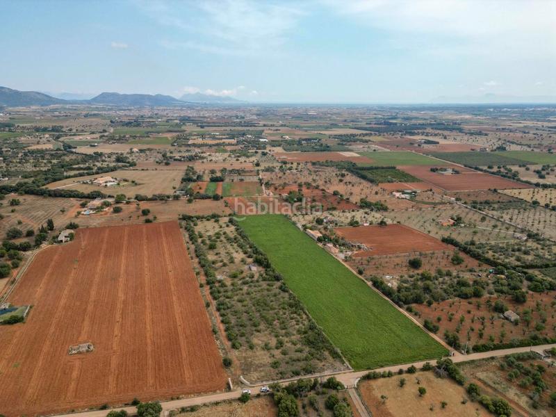 Foto eb52fc46-52ea-466c-bff0-4be03695a42e. FInca rústica a Zona Periurbana Inca