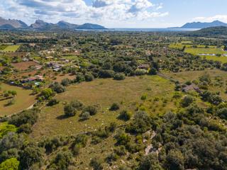 Country house in Pollença Poble. Finca rústica con proyecto y licencia en venta en pollensa, mall