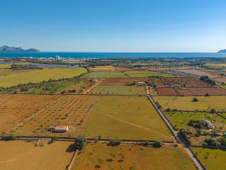Mas à Santa Margalida Poble. Finca rústica en venta en santa margalida, mallorca.