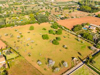 Propriété à Pollença Poble. Terreno edificable en venta en el vilar, pollensa panorámicas vi