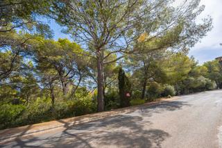 Propriété à Bacarés-Manresa-Bonaire. Solar urbano en bonaire, alcudia  exclusiva parcela en una de la