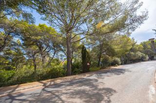 Finca rústica a Bacarés-Manresa-Bonaire. Solar urbano en bonaire, alcudia  exclusiva parcela en una de la