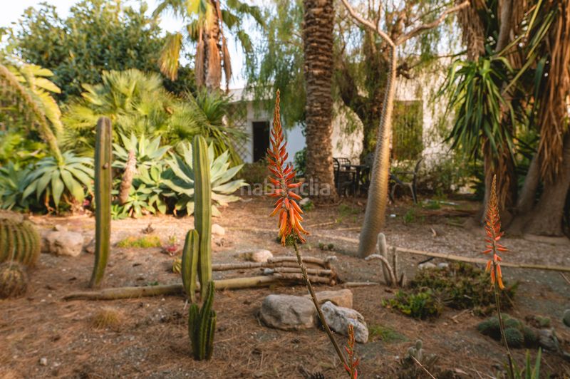 Foto 293370ef-4748-407f-9aaa-4e8cc7afd57d. Xalet amb piscina a Retamar Almería