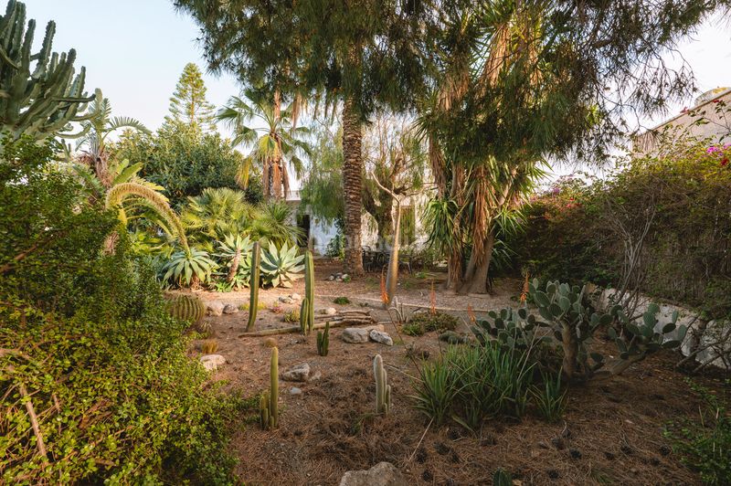 Foto 2e7f5888-105f-419f-a301-41510eaf945a. Xalet amb piscina a Retamar Almería