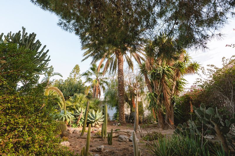 Foto fc960726-2cf1-481d-86c5-1e08c748db46. Xalet amb piscina a Retamar Almería