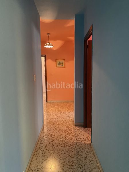 Foto abca4923-81e4-4621-b812-1bebd6132331. Pis a Ejido Sur Ejido (El)