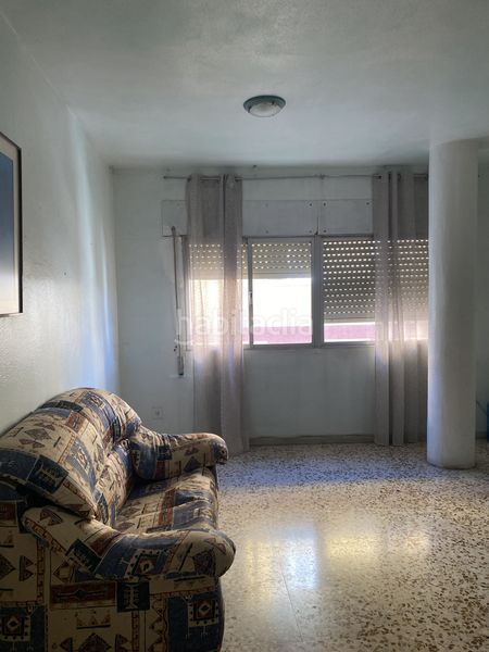 Foto d06e3c70-7ac2-435f-8c77-64ee063f3bd0. Pis a Ejido Sur Ejido (El)