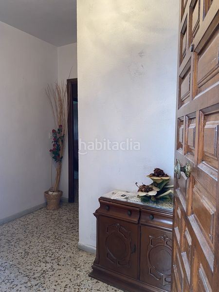 Foto fffa5543-774f-424b-8ce0-73fb294b34e1. Pis a Ejido Sur Ejido (El)