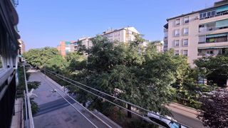 Pis a Angustias - Chana - Encina