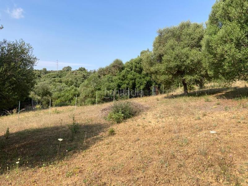 Foto 5be2f2ad-b44d-455e-85ed-d050913e6f9c. Masía finca 2 ha terreno in alcaidesa en La Alcaidesa