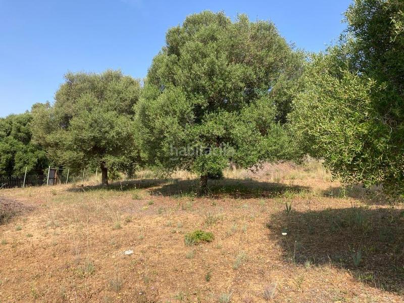 Foto b34514c3-b13b-4fe2-97a5-742aa1afb4ec. Masía finca 2 ha terreno in alcaidesa en La Alcaidesa