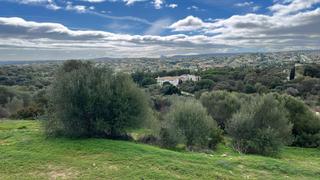 Terreny residencial a Sotogrande Alto. Exclusiva parcela en la reserva de sotogrande con vistas panorám