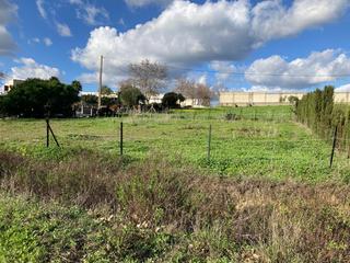 Terreno residencial en Barrios (Los). Parcela rústica proindivisa  de 1000 metros en los barrios
