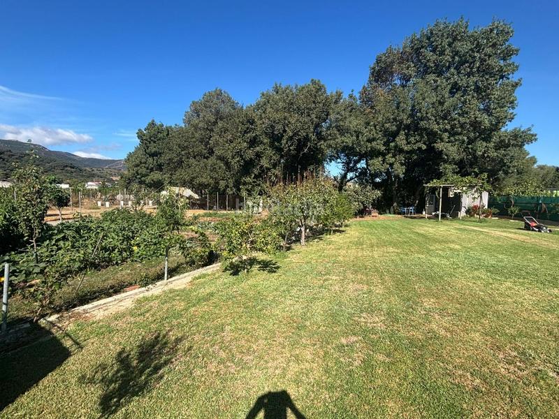 Foto 21e750e3-d6b8-4f79-bf1a-97fe970169ea. Finca rústica parcela rustica en huertos de san isidro los barrios en Barrios (Los)