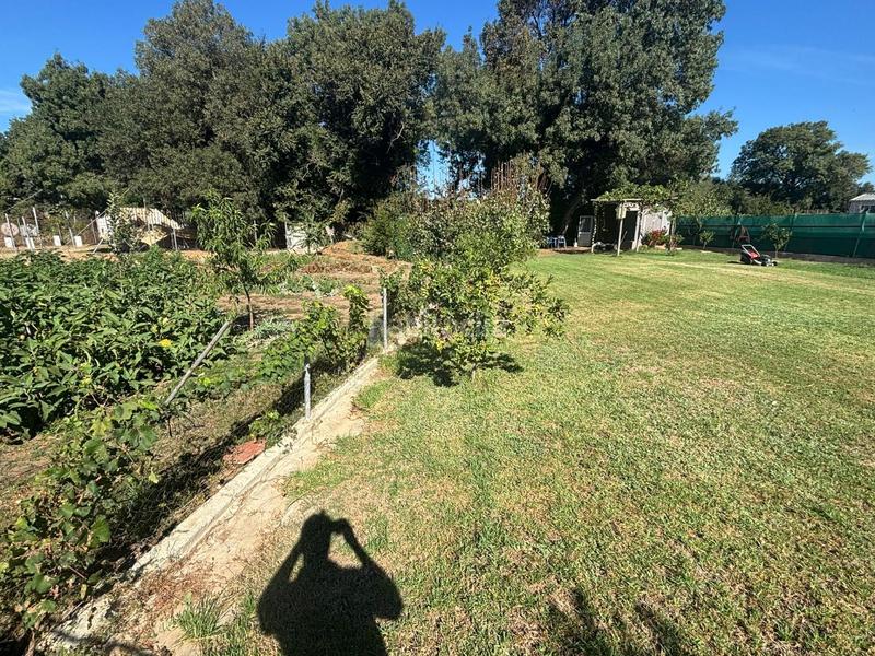 Foto 401a316e-a947-4222-a91d-91245972c360. Finca rústica parcela rustica en huertos de san isidro los barrios en Barrios (Los)