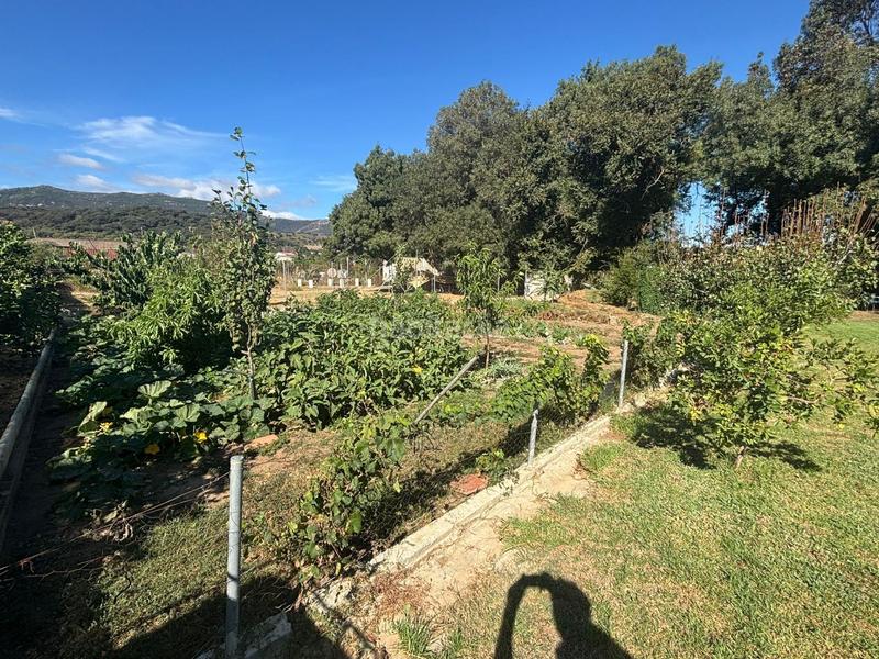 Foto 6ab6be6d-78d6-406c-9fcd-f436e347e2bb. Finca rústica parcela rustica en huertos de san isidro los barrios en Barrios (Los)