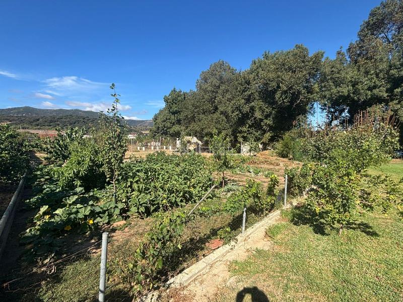 Foto bd23520d-5a3b-412e-811c-51949236bb00. Finca rústica parcela rustica en huertos de san isidro los barrios en Barrios (Los)
