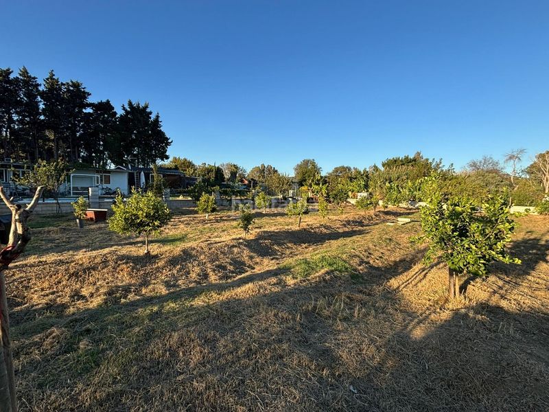 Foto 8bfb5b67-5be4-445c-8edb-d2f838937ed7. Finca rústica a Barrios (Los)