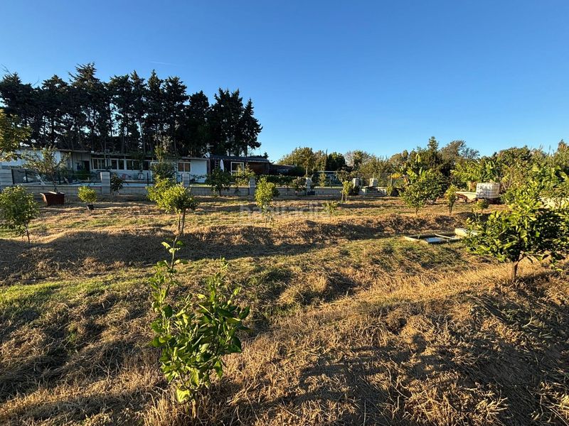 Foto db41829c-bca0-4ef9-99d7-35e7f29eff04. Finca rústica a Barrios (Los)