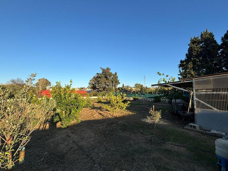 Foto 7f41f155-dc5b-4443-93b0-19fda8b783da. Finca rústica a Barrios (Los)