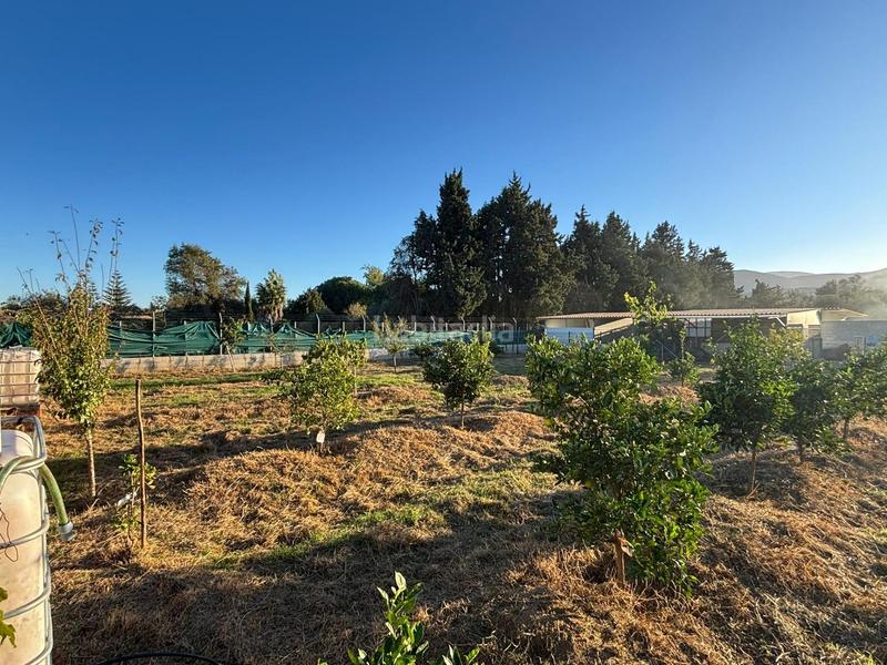 Foto 924cc4d1-c902-424c-b47a-15a45b691ed3. Finca rústica a Barrios (Los)