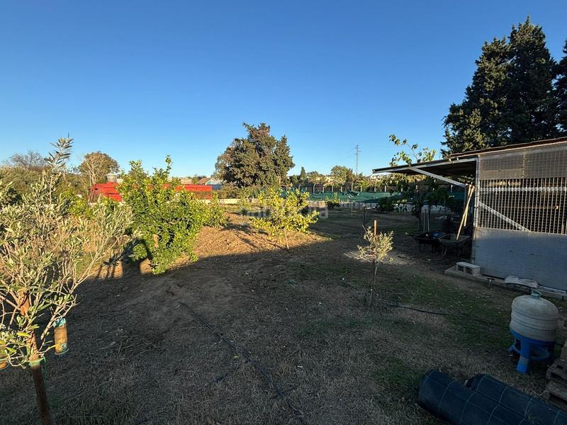 Foto a5afbe03-5040-4481-bc85-31b8fe2daf36. Finca rústica a Barrios (Los)