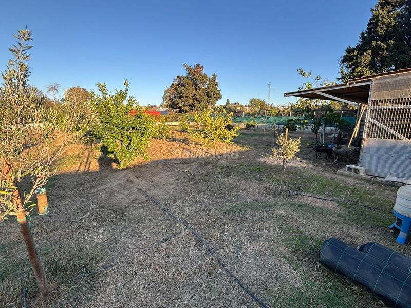 Foto fc747111-e3c9-4d5c-9152-661f616aa874. Finca rústica a Barrios (Los)