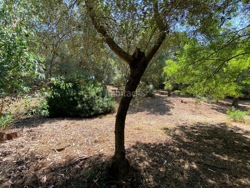 Foto 41e87cd9-7aef-4e90-833f-b4e018556735. Chalet mit parking in Barrios (Los)