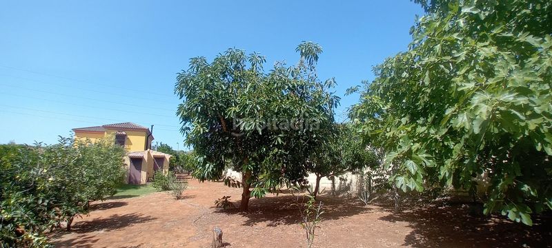 Foto b351ab66-7172-4547-9d64-8a6b8cd601d0. Xalet amb piscina a San Roque pueblo San Roque