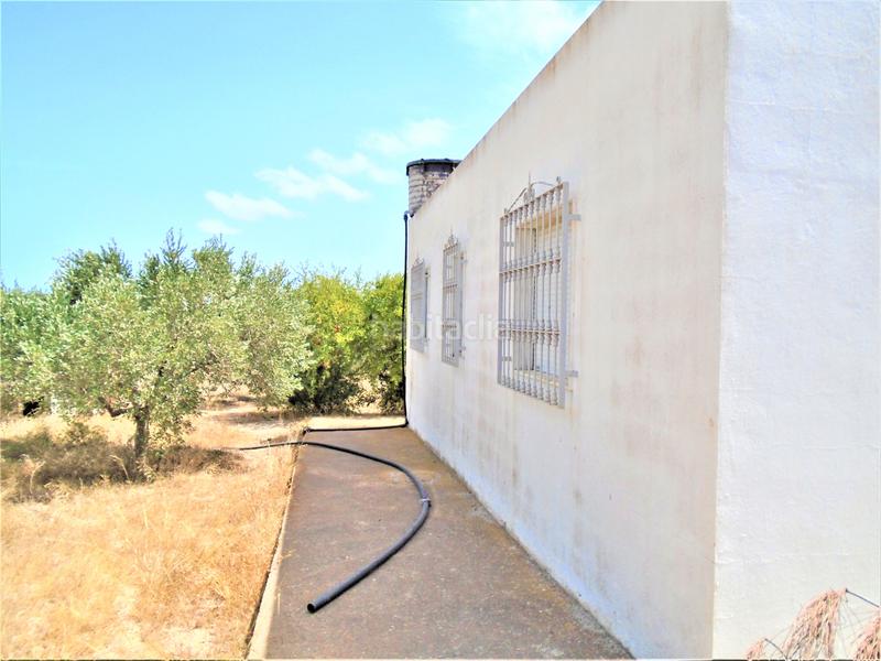 Foto 976e2f9a-65cf-4f59-a676-ce65e96faa55. Casa en Aguamarga Níjar