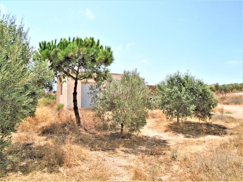 Foto e867af58-38e1-455a-ae64-eb6a5f09ae9e. Casa en Aguamarga Níjar