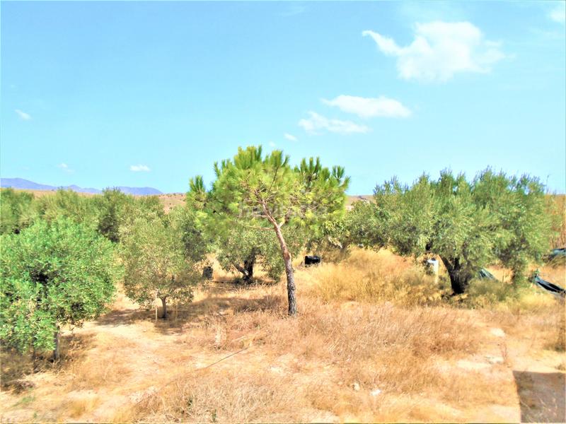 Foto eb83e1e8-a8c9-407d-8500-f2ef55adaae9. House in Aguamarga Níjar