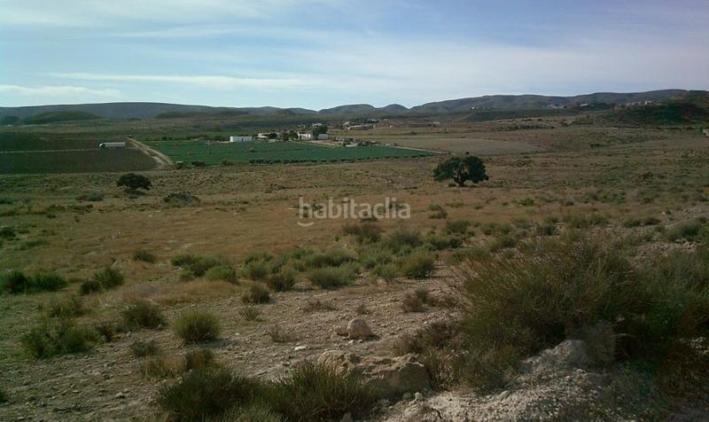 Foto b3cfb546-06a1-4f7e-8e68-981d55b67261. Rural plot in Aguamarga Níjar