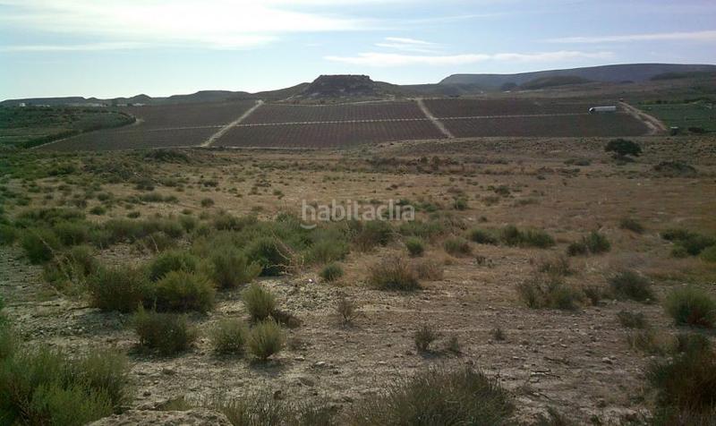 Foto 7f5576b5-b38a-4378-9c70-ee6d6c0c5c7a. Finca rústica a Aguamarga Níjar