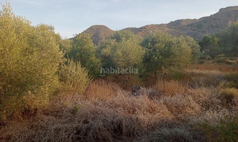 Foto 18bcbe10-f6bc-429f-9414-76cca69c2a06. Maison dans Sorbas