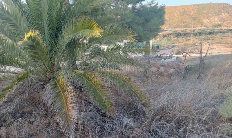 Foto b51383b0-aa97-42e3-94fc-6c0efb40a025. Maison dans Sorbas