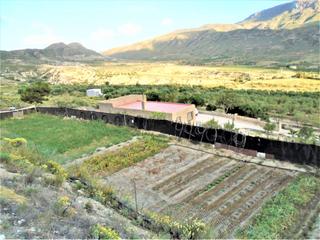 Casa  Barriada la cueva del pájaro
