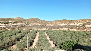 Terrain résidentiel à Camino Real