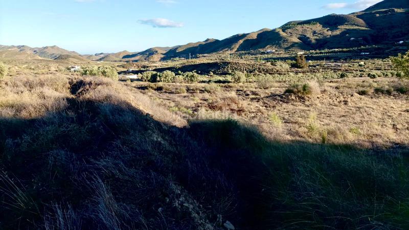 Foto 8b43344c-f950-498e-8036-f306e51fcdbd. Fondo rustico in Los Ángeles - Cruz de Caravaca Almería