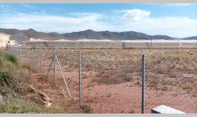 Foto 7182d3c8-899d-468e-a502-05fca28aa76a. Terrain industriel dans paraje el nazareno 30 dans Pozo de los Frailes-Presillas-Albaricoques Níjar