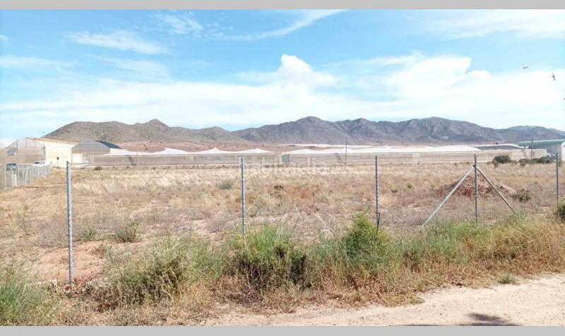 Foto 7f3f6e32-1cff-448c-a3ba-ca80f6b83076. Terrain industriel dans paraje el nazareno 30 dans Pozo de los Frailes-Presillas-Albaricoques Níjar