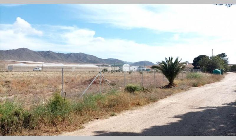 Foto 877a48a6-3b42-4b4b-9a2e-4fd76afc072c. Terrain industriel dans paraje el nazareno 30 dans Pozo de los Frailes-Presillas-Albaricoques Níjar