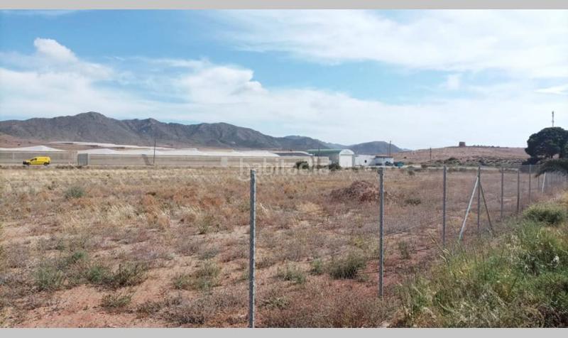 Foto ee6af177-20d2-445f-af0e-d84459b84978. Terrain industriel dans paraje el nazareno 30 dans Pozo de los Frailes-Presillas-Albaricoques Níjar