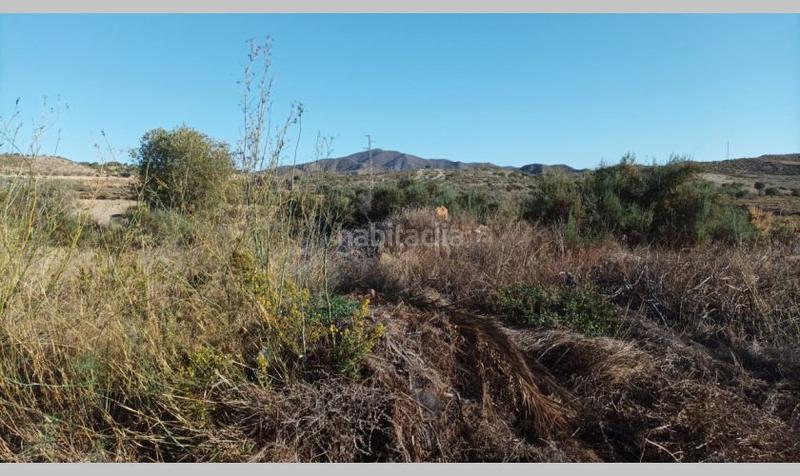 Foto a1f579b5-3991-4867-ac76-f1c2054e9fb6. Maison dans Sorbas