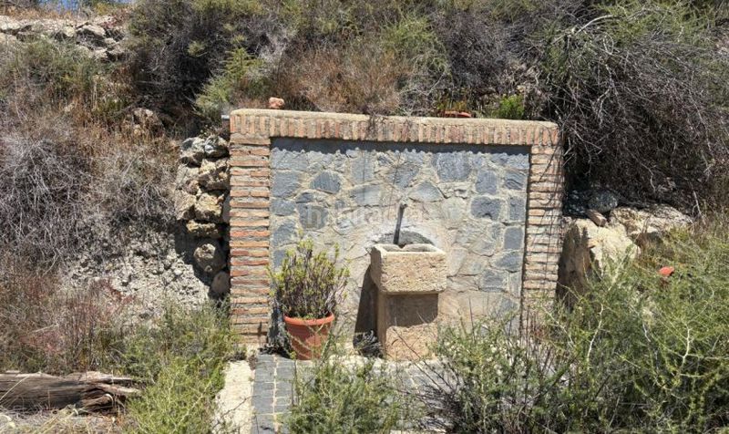 Foto 198eff56-4cf3-4cd0-bf9c-4c31a4b833f7. Finca rústica a Nijar Pueblo Níjar
