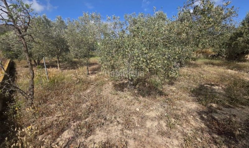 Foto 56da9f1d-c7e2-4fa2-902c-e1503081b43b. Chalet  en mizala en Sorbas