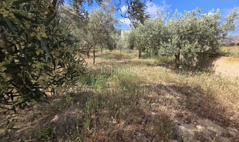 Foto 925ad51f-db29-4e16-b957-1bbc9dd23cbc. Chalet  en mizala en Sorbas