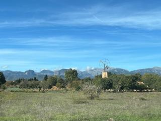 Casa en Sencelles. Atractiva nueva promoción con licencia de obra cerca de sencelle