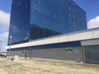 Local Comercial en Calle Pino Estrobo 24