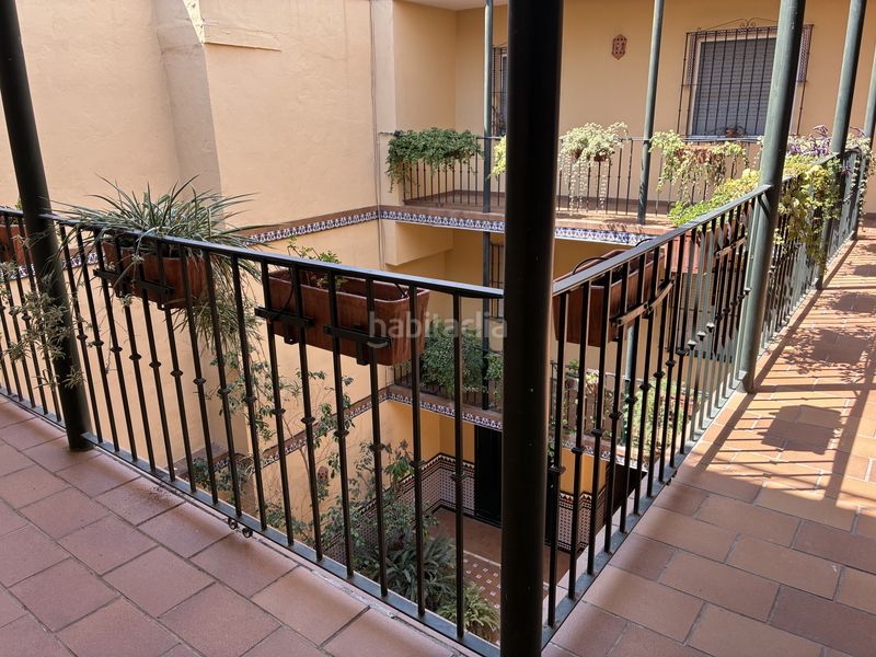 Foto 65418433-a707-456d-8ce5-7c16f9dee8f3. Apartament a pelay correa 81 a Triana Casco Antiguo Sevilla